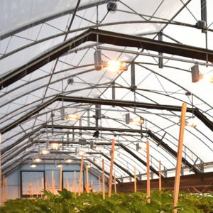 Guardian series greenhouse - frame
