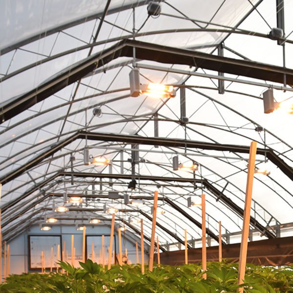 Guardian series greenhouse - frame